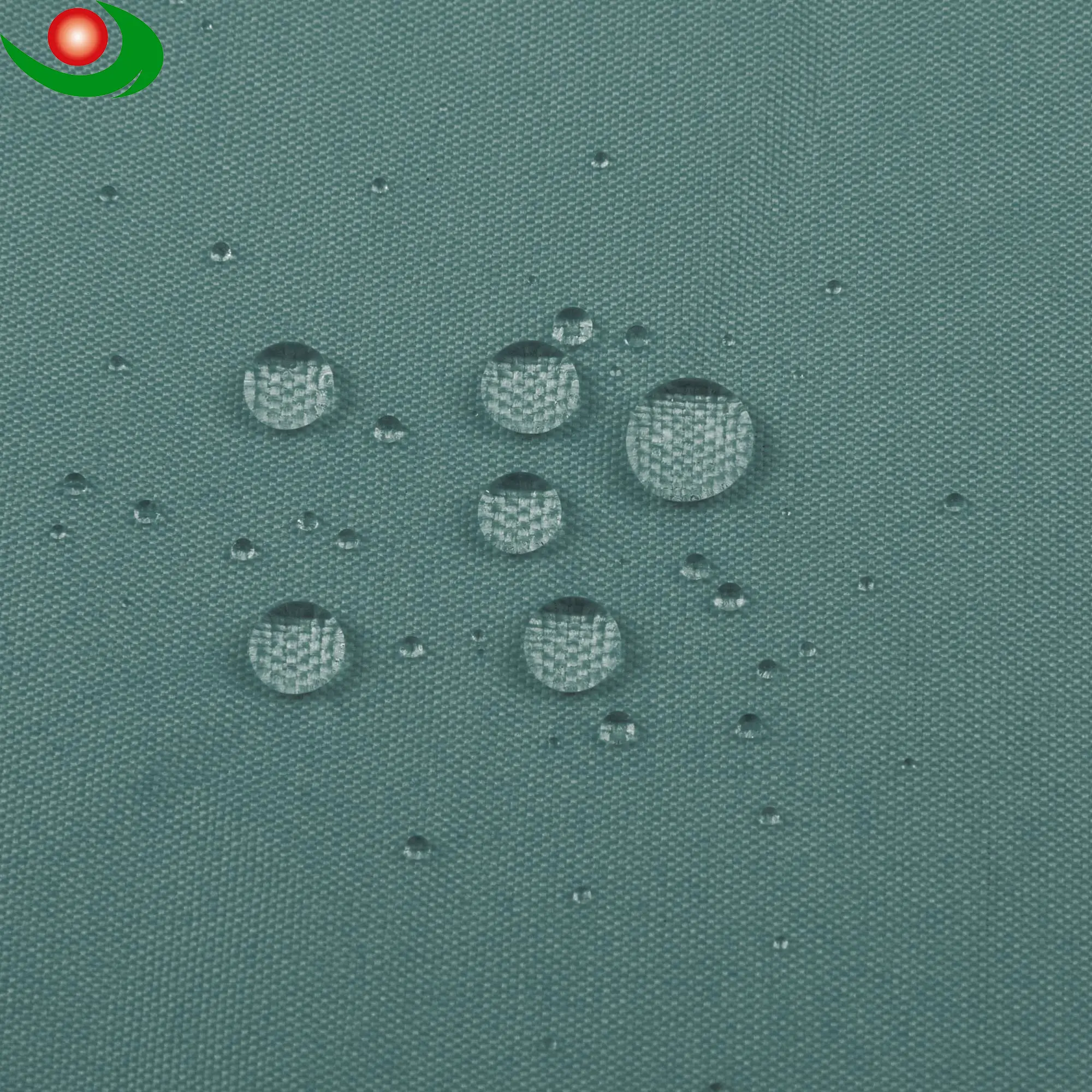 shower curtains (5).jpg